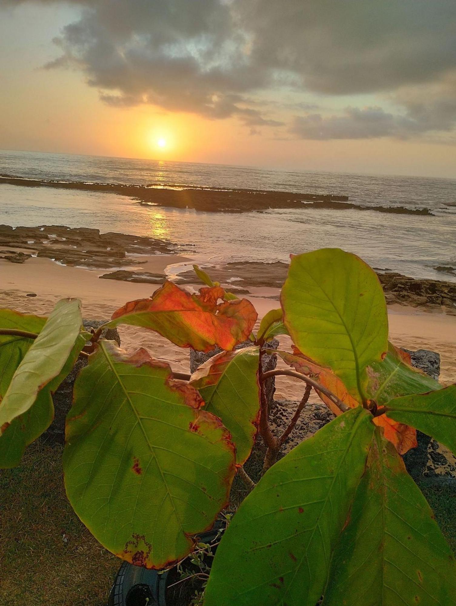 Pousada Tropicalia Tranquilidade A Beira Mar Санта Крус Кабралия Екстериор снимка